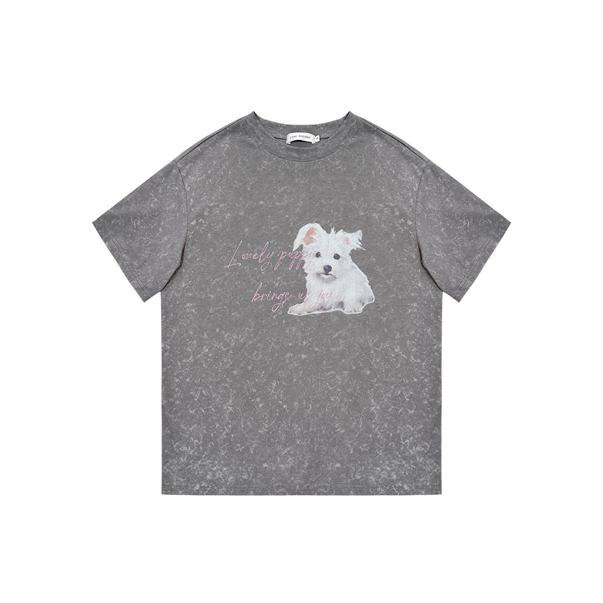 AsGony Puppy Printed T-Shirt Washed Grey